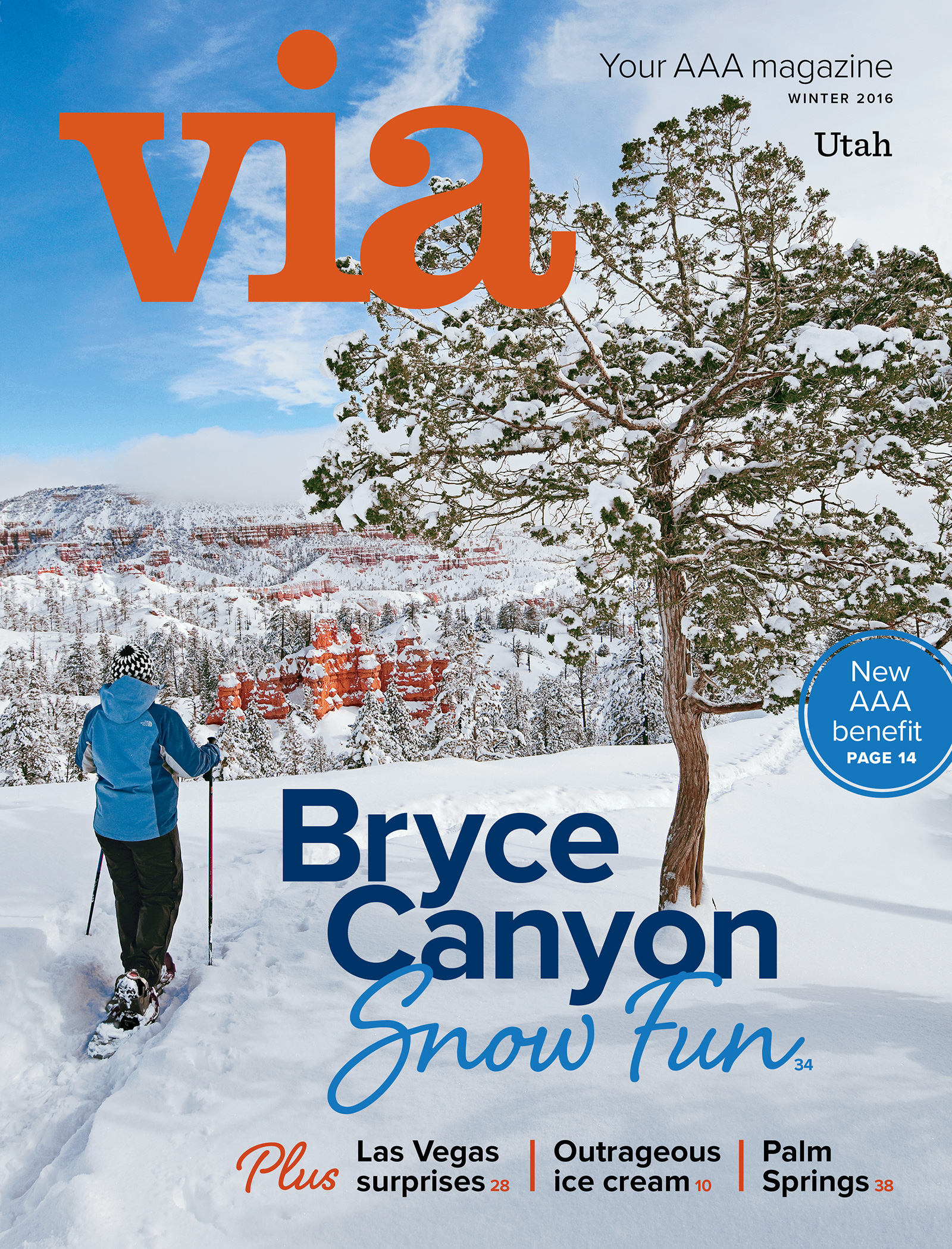 Winter 2016 Via cover